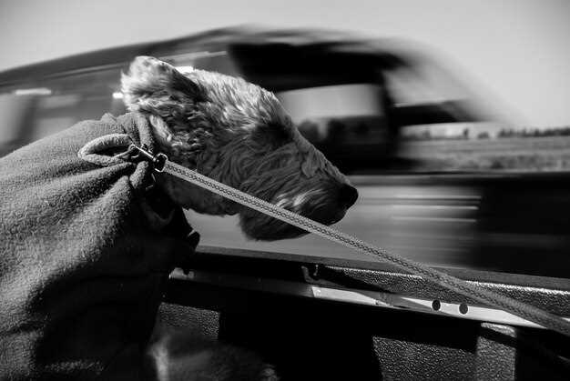 Обработка после ремонта кузова или повреждений лакокрасочного покрытия