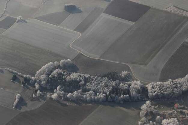 Проблемы с воздушным фильтром и системой подачи воздуха