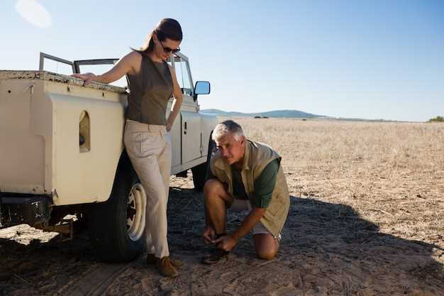 Что нужно учитывать при подборе вариатора Safari для ВАЗ