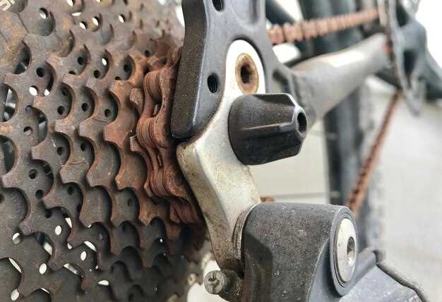 Регулировка и проверка натяжения цепи самостоятельно