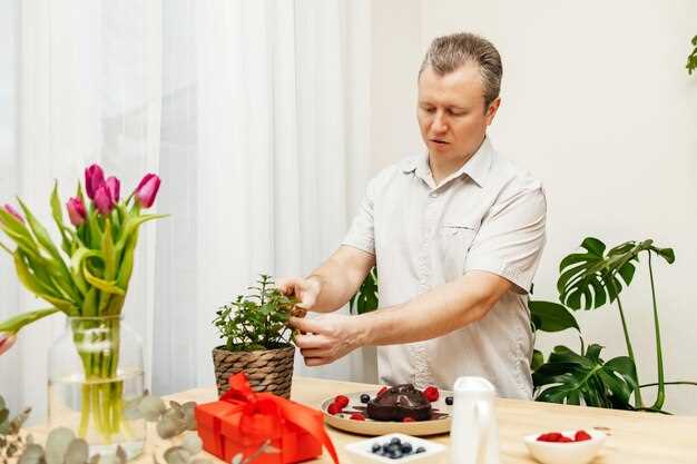 Использование правильных средств для очистки