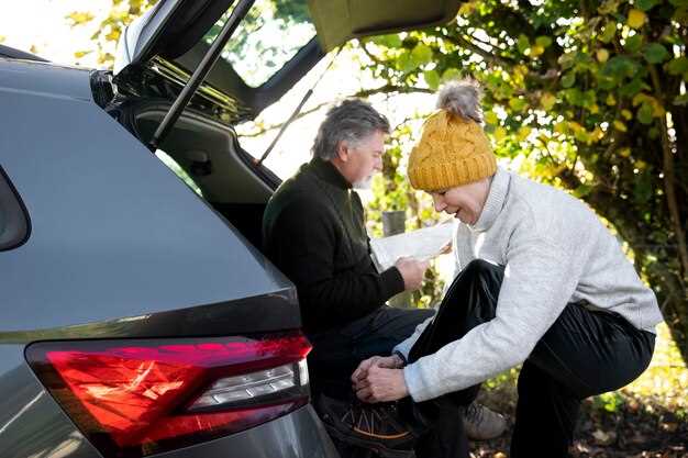 Подготовка автомобиля перед использованием тормоза