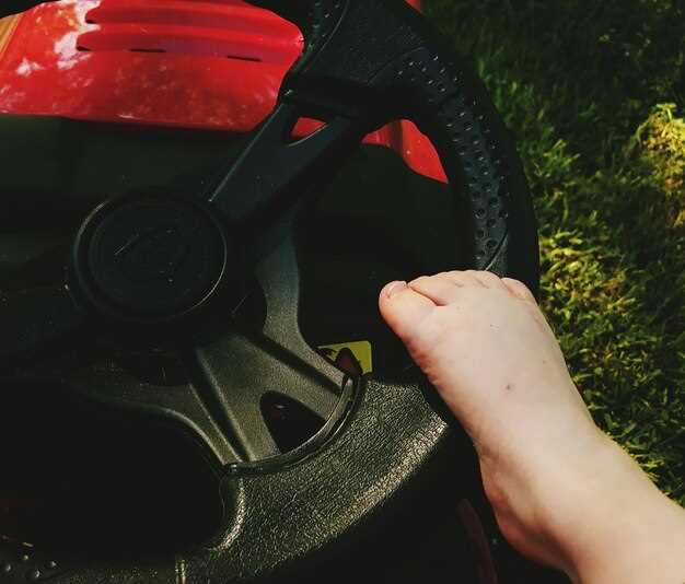 Обзор необходимых инструментов и материалов