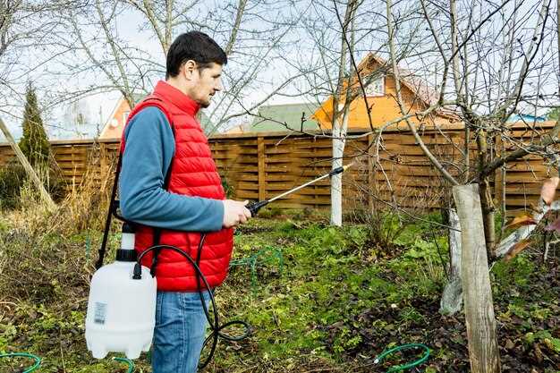 Настройка распылительных форсунок и их расположение