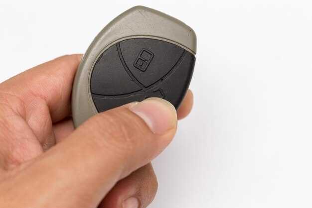 Особенности ухода и защиты от влаги и грязи