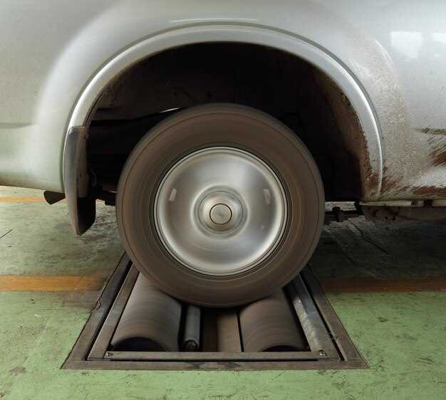 Классификация симптомов и методы их определения у владельца