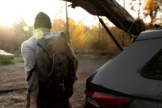 Использование некачественного топлива и его влияние на систему
