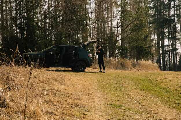 Полная замена подшипников и зубчатых групп – порядок действий