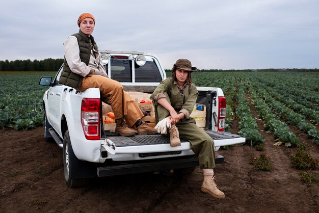 Как устранить гул в переднем мосту: пошаговая инструкция