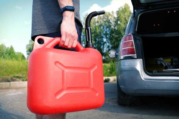 Проверка и регулировка системы подачи газа