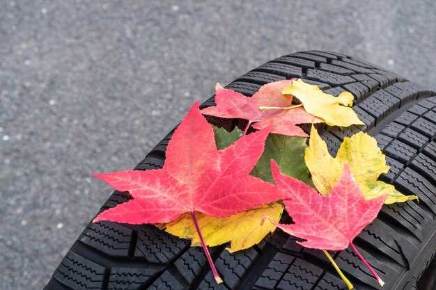 Материал и прочность: на что обращать внимание при покупке