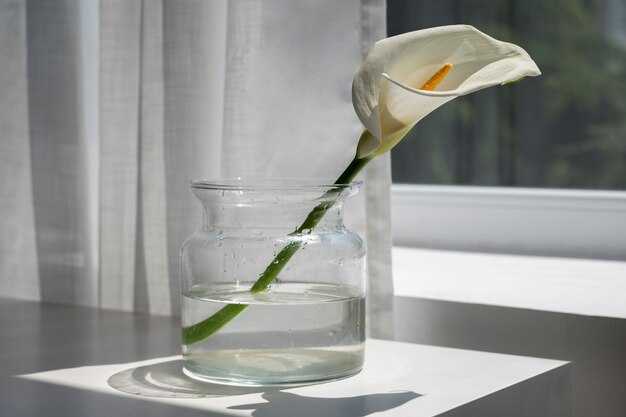 Причины возникновения U0100 на автомобилях ВАЗ