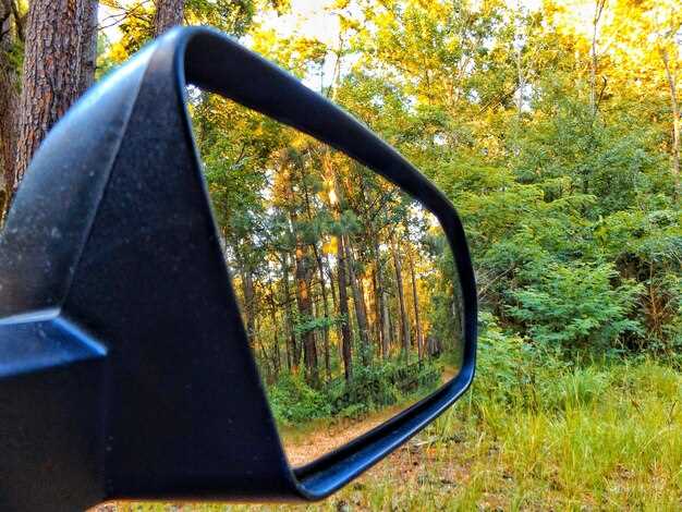 Технические особенности и параметры зеркал для ВАЗ 2114