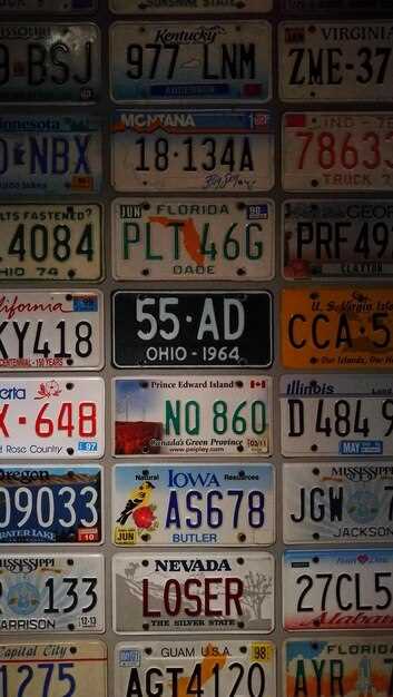 Государственные и муниципальные номера: чем отличаются?