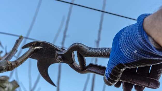 Советы по хранению и профилактическому обслуживанию