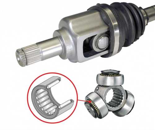 Трипоидный