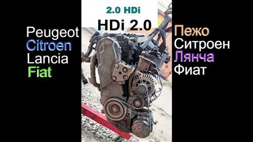 pezho-307-nomer-dvigatelya-gde-naxoditsya