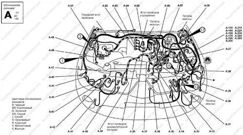 Расположение
