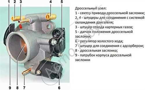 Шаг