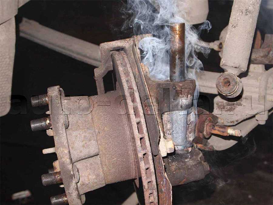 gazel-zamena-shkvornej