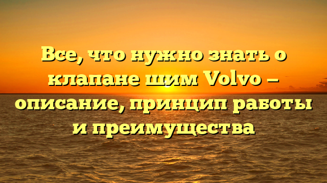 Все, что нужно знать о клапане шим Volvo — описание, принцип работы и преимущества
