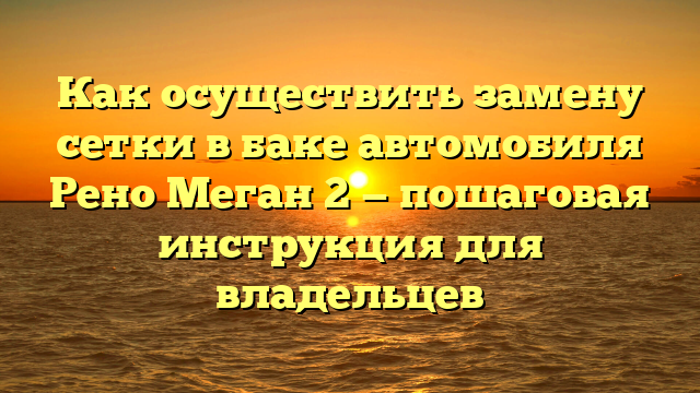 Как осуществить замену сетки в баке автомобиля Рено Меган 2 — пошаговая инструкция для владельцев