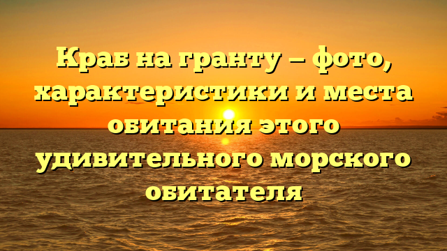 Краб на гранту — фото, характеристики и места обитания этого удивительного морского обитателя