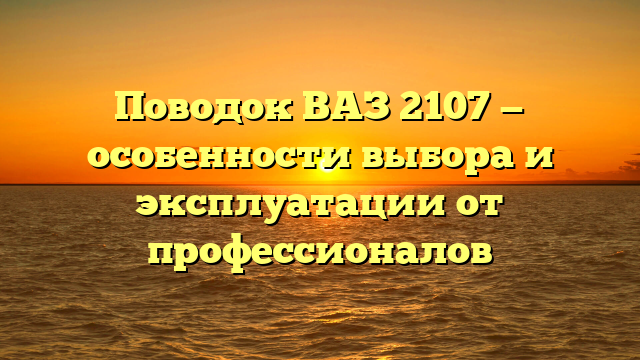 Поводок ВАЗ 2107 — особенности выбора и эксплуатации от профессионалов