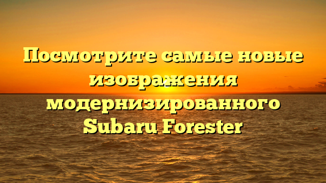 Посмотрите самые новые изображения модернизированного Subaru Forester