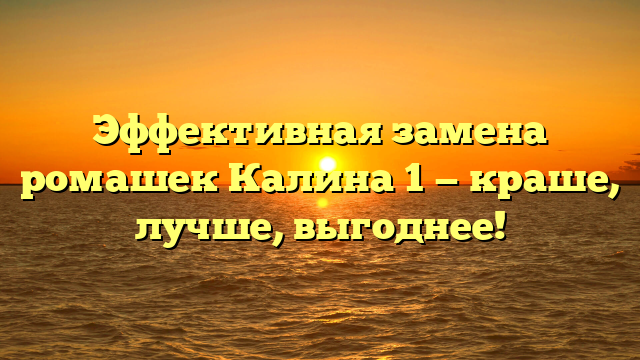 Эффективная замена ромашек Калина 1 — краше, лучше, выгоднее!