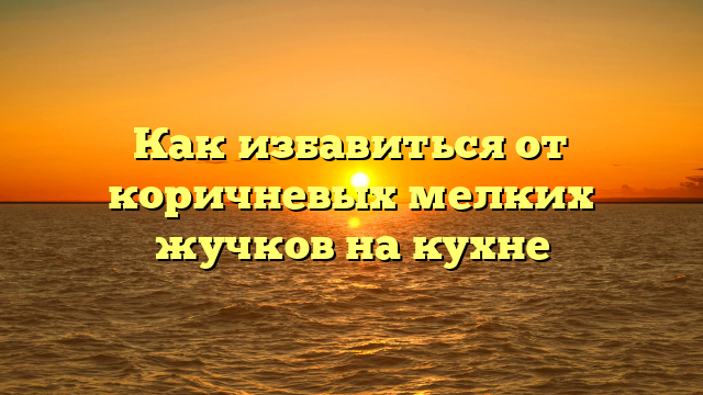 Как избавиться от коричневых мелких жучков на кухне