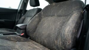 Car_seat_pet_hair_20260918072728_1